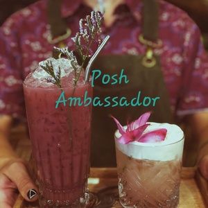 Posh Ambassador 🦄